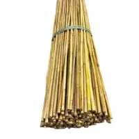 Bambusová tyč 150 cm, Ø 6 - 10 mm