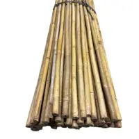 Bambusová tyč 180 cm, Ø 20 - 22 mm