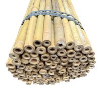 Bambusová tyč 150 cm, Ø 18 - 20 mm
